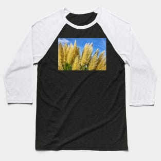 Pampas Grass Baseball T-Shirt